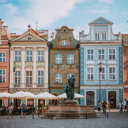 2homerent Niedzialkowskiego 24 *